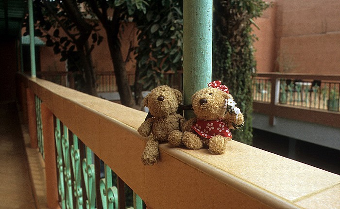 Taroudant Teddy und Teddine im Innenhof des Hotels Taroudannt Hotel Taroudannt