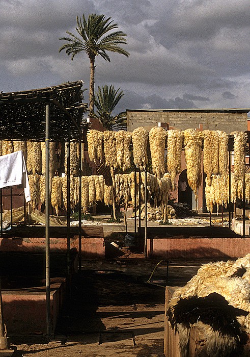 Taroudant Gerberei