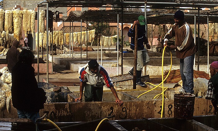 Gerberei Taroudant