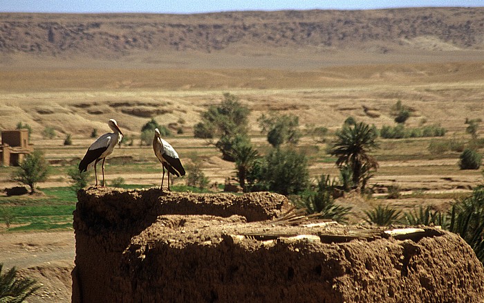 Âit Benhaddou