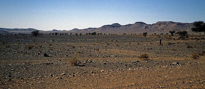 Sahara (MA)
