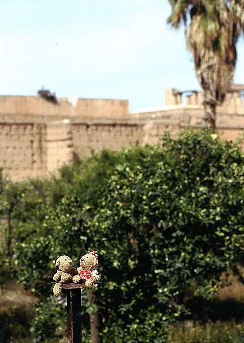 Marrakesch Palais el Badi: Teddy und Teddine Palais El Badi