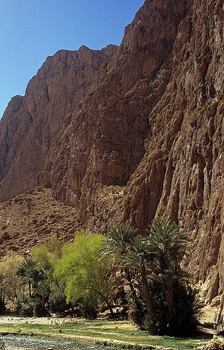 Todrha-Tal