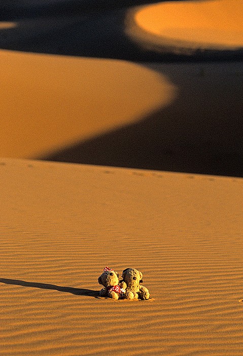 Erg Chebbi Teddine und Teddy im Wüstensand