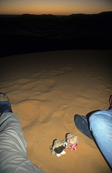 Erg Chebbi Teddy und Teddine beim Blick auf den Sonnenaufgang