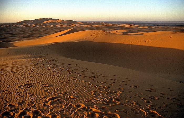 Erg Chebbi