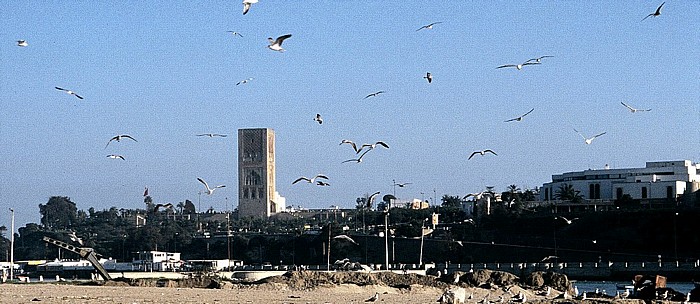 Salé Blick auf Rabat mit dem Hassan-Turm