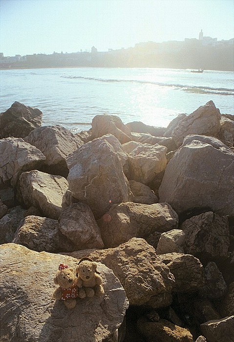 Salé Teddine und Teddy am Oued Bou Regreg