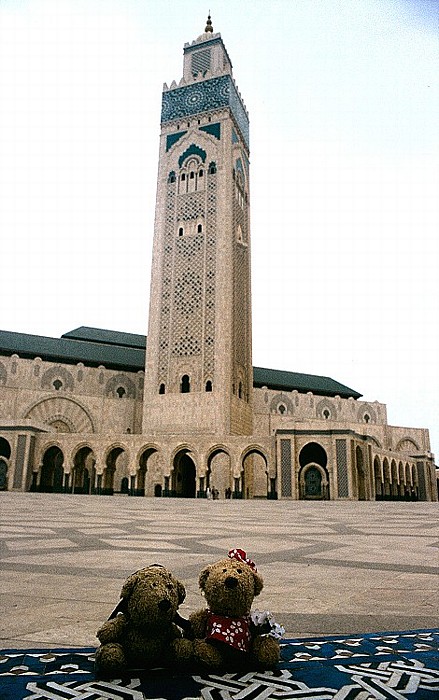 Casablanca Teddy und Teddine vor der Moschee Hassan II