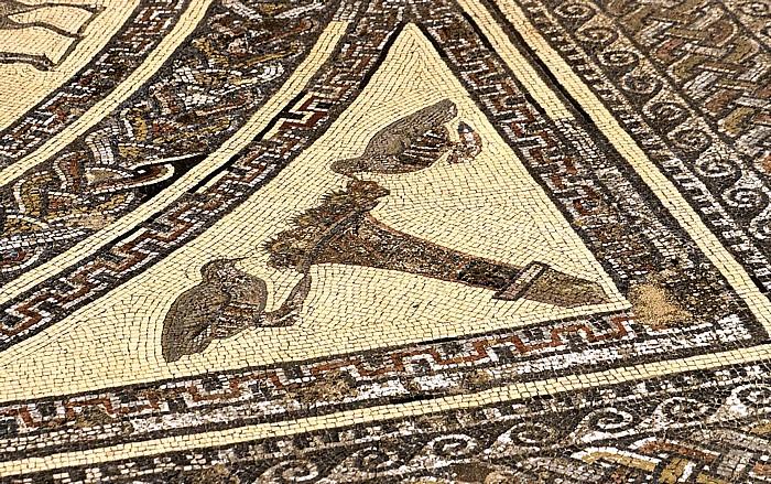 Volubilis Römische Ausgrabungen: Mosaik