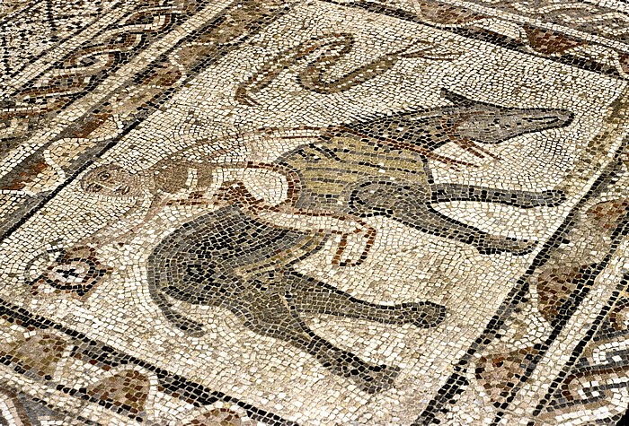 Römische Ausgrabungen: Mosaik Volubilis