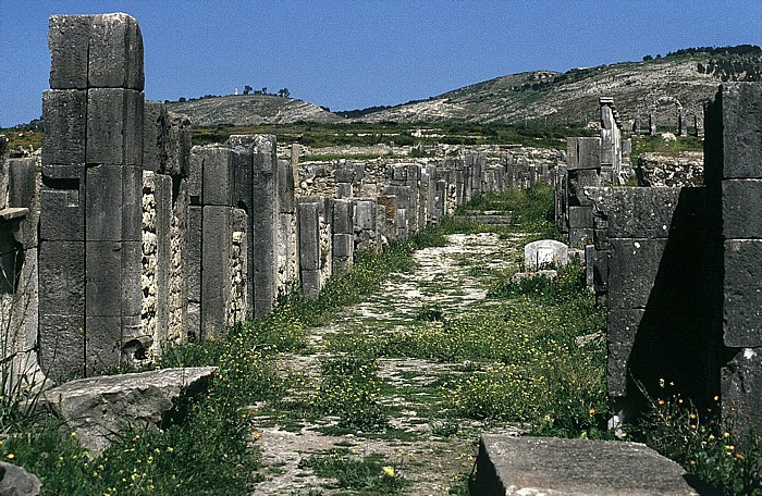 Volubilis Römische Ausgrabungen: Decumanus maximus Tanger-Tor