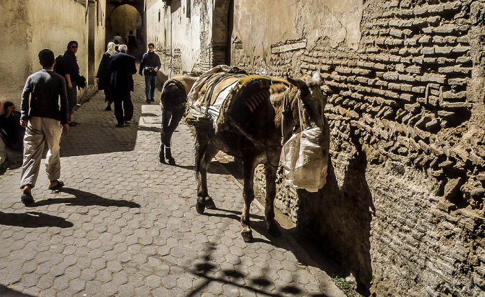 Fès Medina