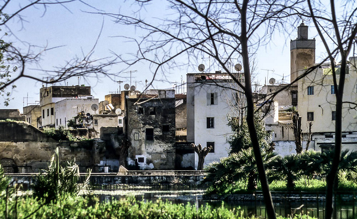 Jardin Boujeloud Fès