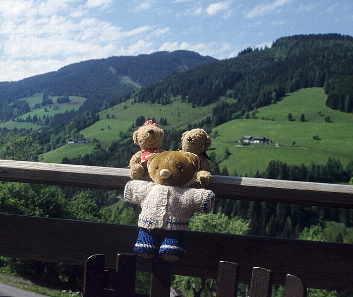 Dienten Schoberalm: Teddine und Teddy mit ihrem Freund Daniel