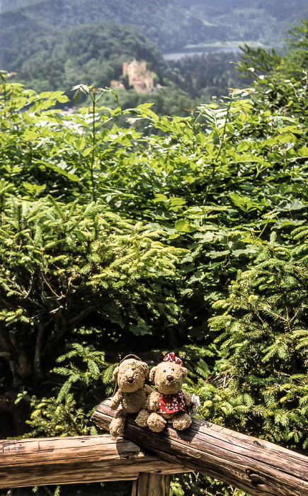 Schwangau Teddy und Teddine Schloss Hohenschwangau