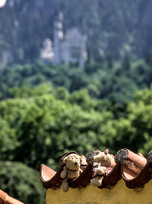 Schwangau Schloss Hohenschwangau: Teddy und Teddine Schloss Neuschwanstein