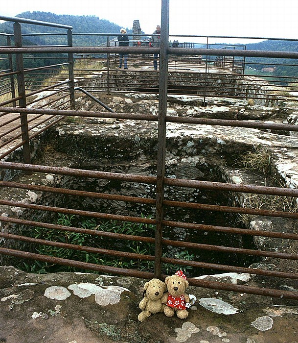 Lembach Burg Fleckenstein: Teddy und Teddine