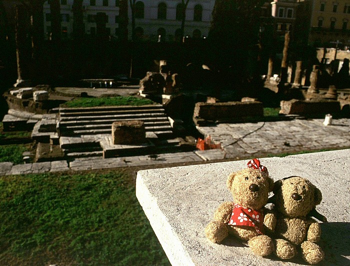 Rom Area Sacra: Teddine und Teddy