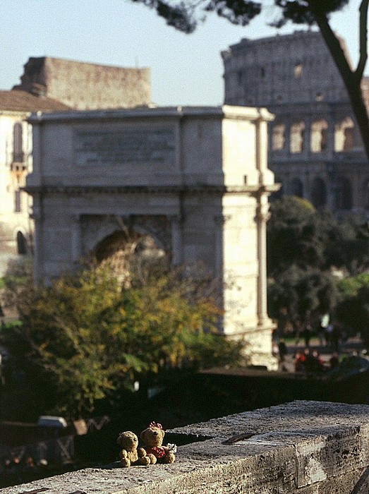 Forum Romanum: Teddy und Teddine vor dem Titusbogen und dem Kolosseum