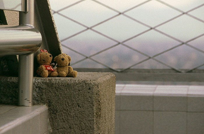 Mexiko-Stadt Blick vom Torre Latinoamericana: Teddine und Teddy