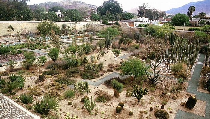 Museo de las Culturas de Oaxaca Oaxaca de Juárez