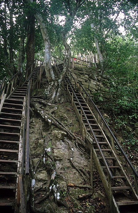 Aufgang zu Tempel IV Tikal