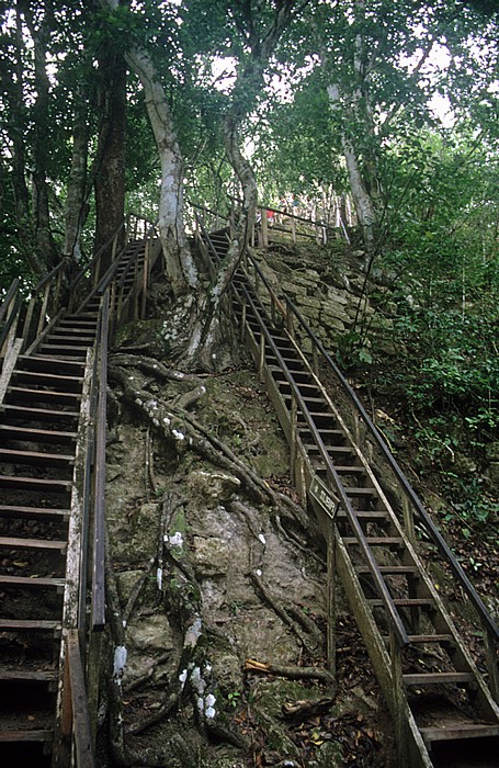 Tikal Aufgang zu Tempel IV