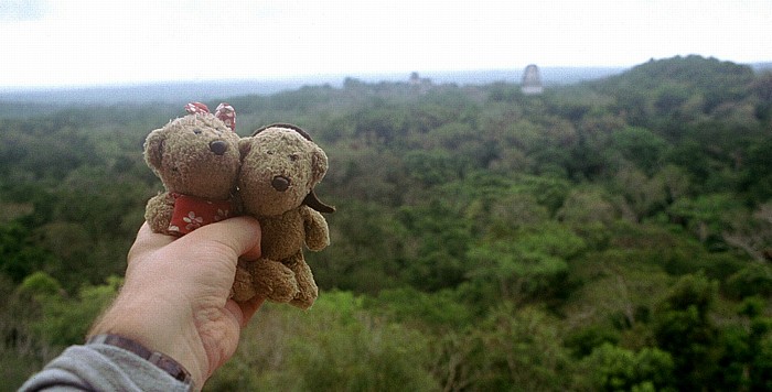 Tikal Tempel IV: Teddine und Teddy