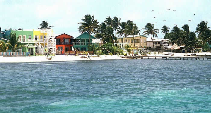 Caye Caulker