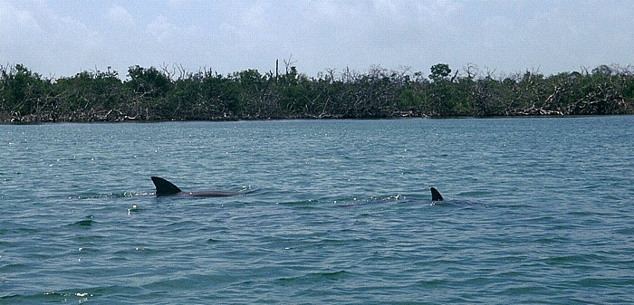 2 Define Belize Barrier Reef