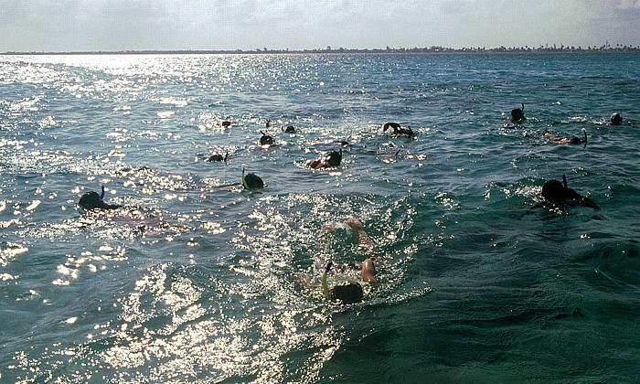 Belize Barrier Reef