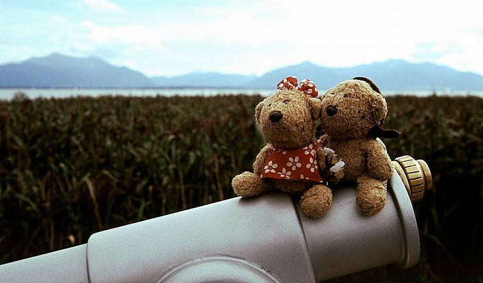 Seebruck Teddine und Teddy