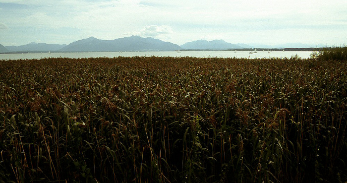 Seebruck Chiemsee