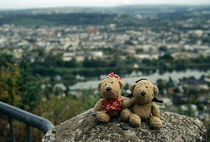 Trier Blick vom Fuß der Mariensäule: Teddine und Teddy