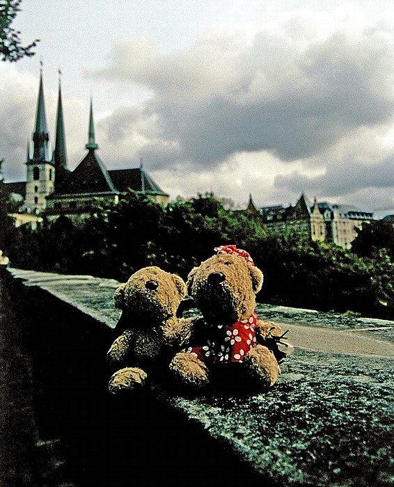 Luxemburg Kathedrale Notre-Dame: Teddy und Teddine