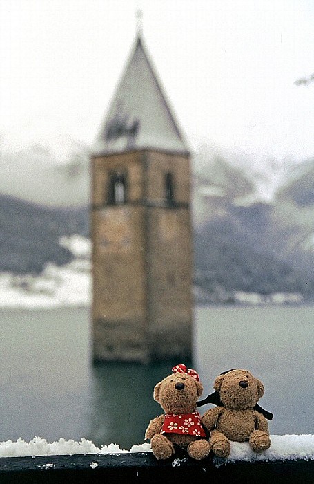 Reschensee Teddine und Teddy Kirchturm Graun