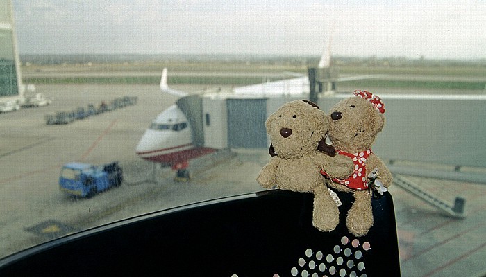 Palma de Mallorca Flughafen: Teddy und Teddine