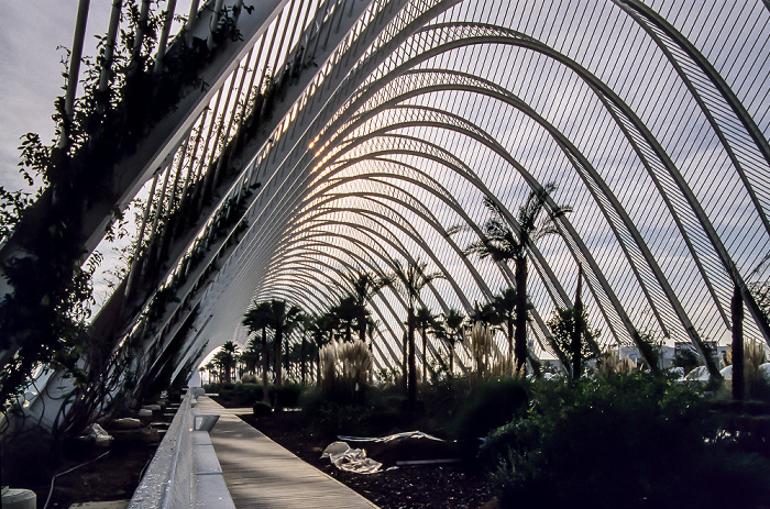 Valencia L'Umbracle