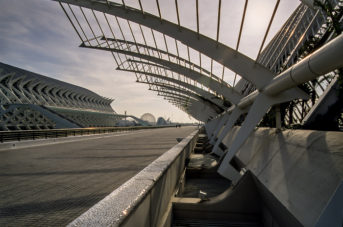 Links das Prinz-Felipe-Wissenschaftsmuseum, rechts L'Umbracle Valencia