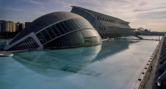 Valencia L'Hemisfèric, Prinz-Felipe-Wissenschaftsmuseum L'Oceanogràfic