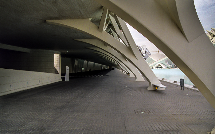 Valencia Unterbau von L'Umbracle L'Hemisfèric Palacio de las Artes