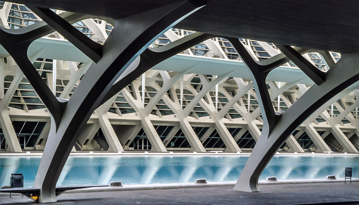 Valencia Prinz-Felipe-Wissenschaftsmuseum L'Umbracle