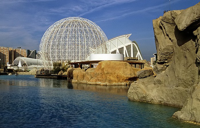 Valencia L'Oceanogràfic L'Umbracle Prinz-Felipe-Wissenschaftsmuseum