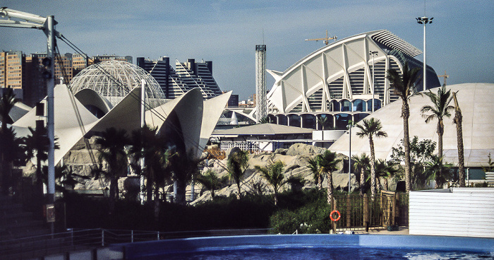 L'Oceanogràfic Valencia 2004