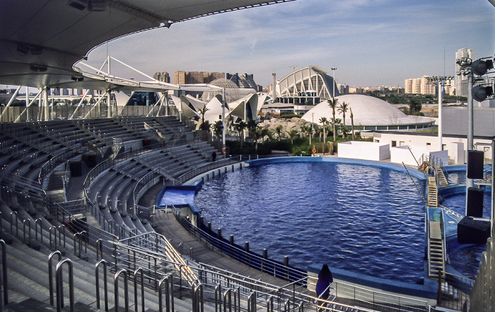 L'Oceanogràfic: Delfinarium Valencia 2004