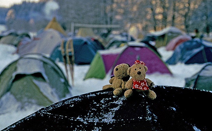 Effelter Teddy und Teddine auf dem Zeltdach