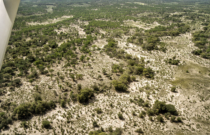 Okavango-Delta Luftbild aerial photo