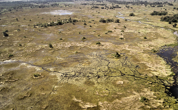 Okavango-Delta Luftbild aerial photo