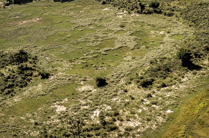 Okavango-Delta Luftbild aerial photo